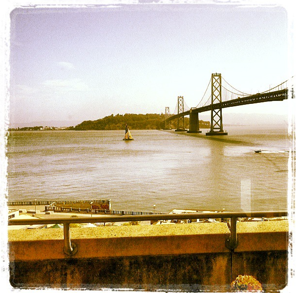 SFO bride to startups