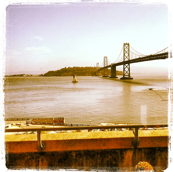 SFO bride to startups