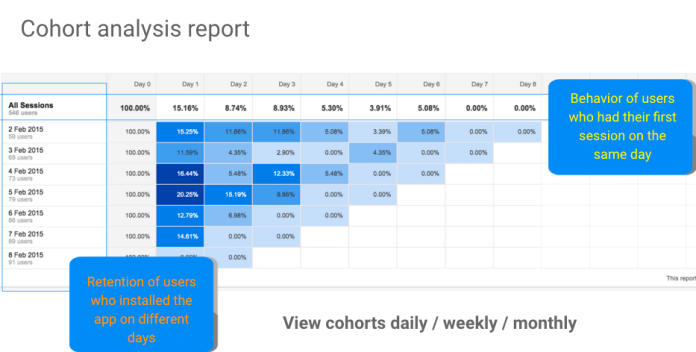 Cohort analysis report