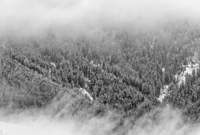view of mountains with trees in the snow