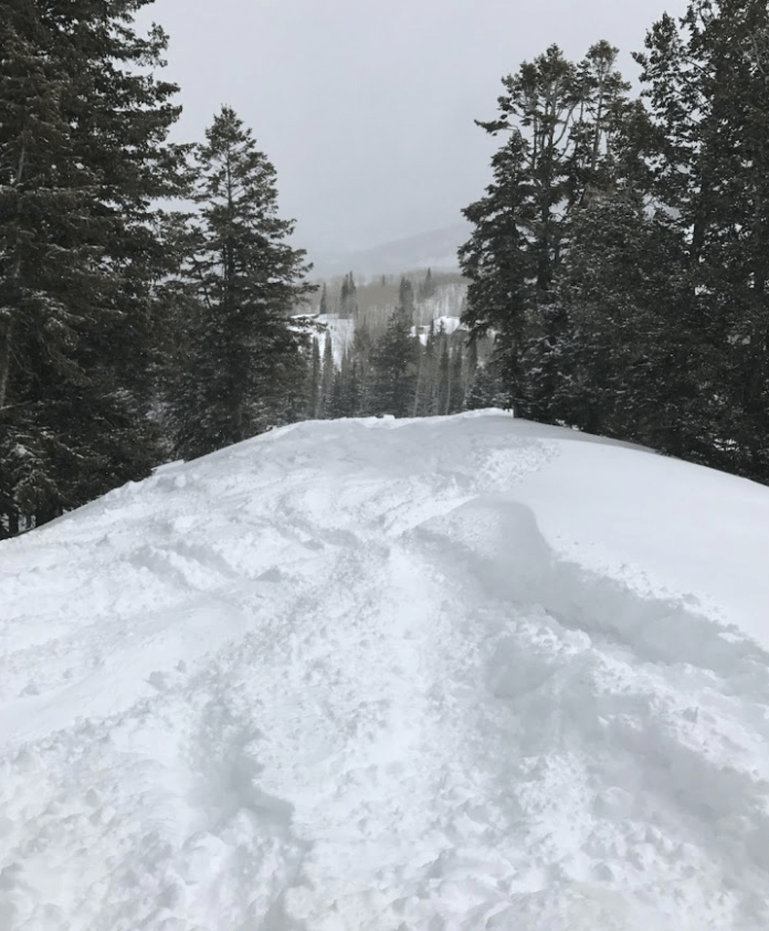 powder day - no friends day