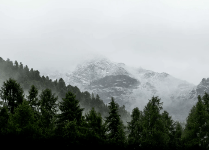 Screen Shot 2017-05-11 at 2.29.44 PM.png