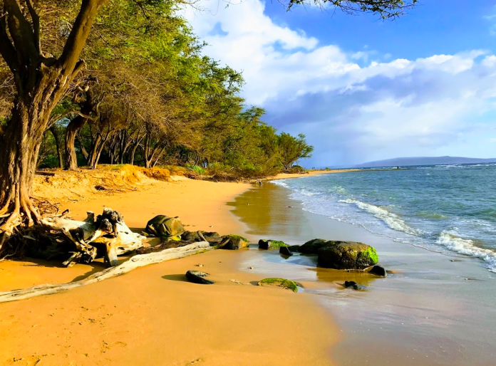 Maui beach at sunset