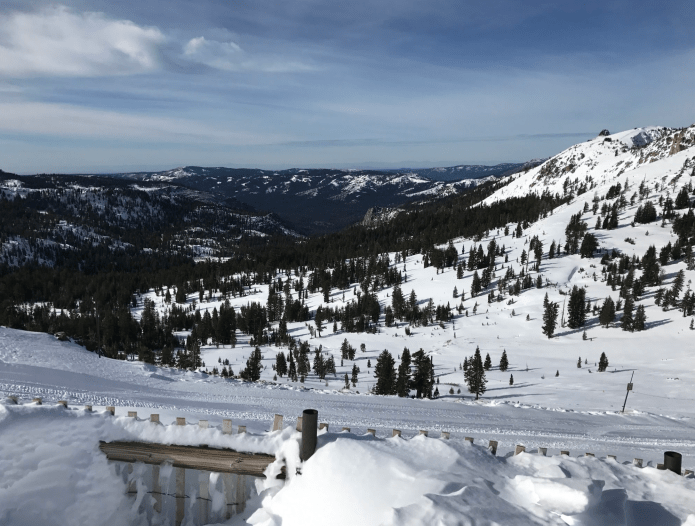 Northstar pow day action on google