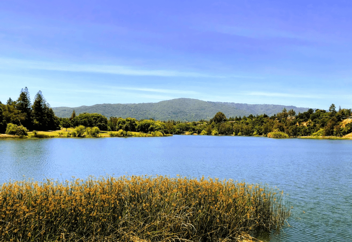 Vasona Lake