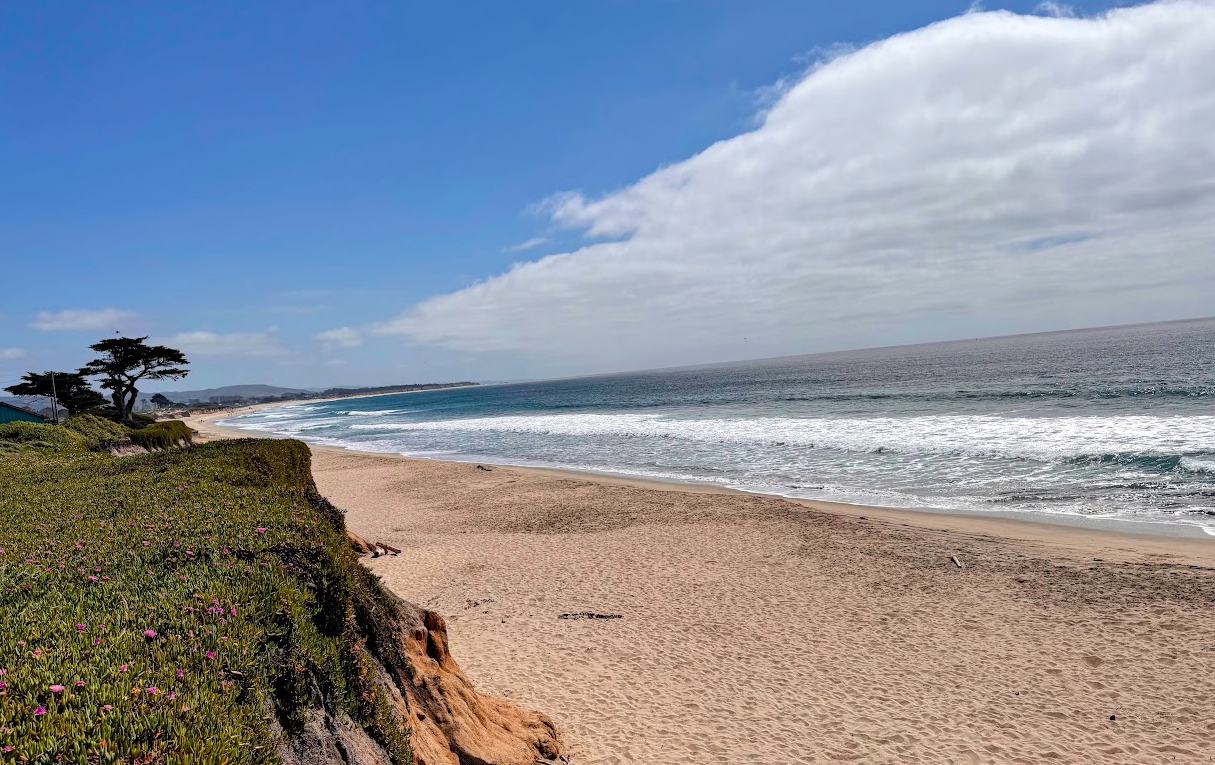 half-moon-bay-beach